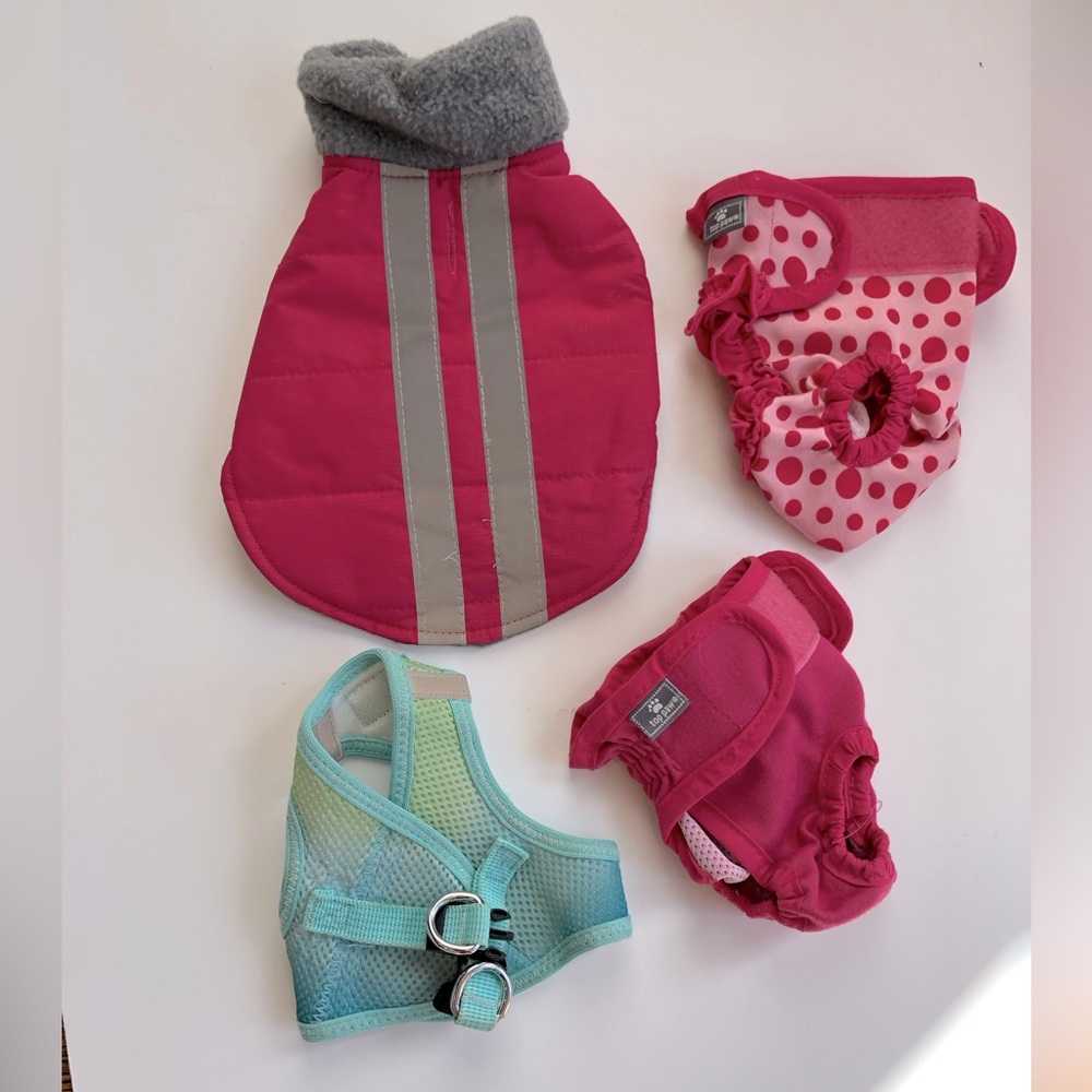 Xs Dog Harness, Coat & Diapers - Chihuahua, Poodle, Maltese, Maltipoo, Yorkie
